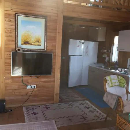 Villa Aromatherapy Park Incirkoy
